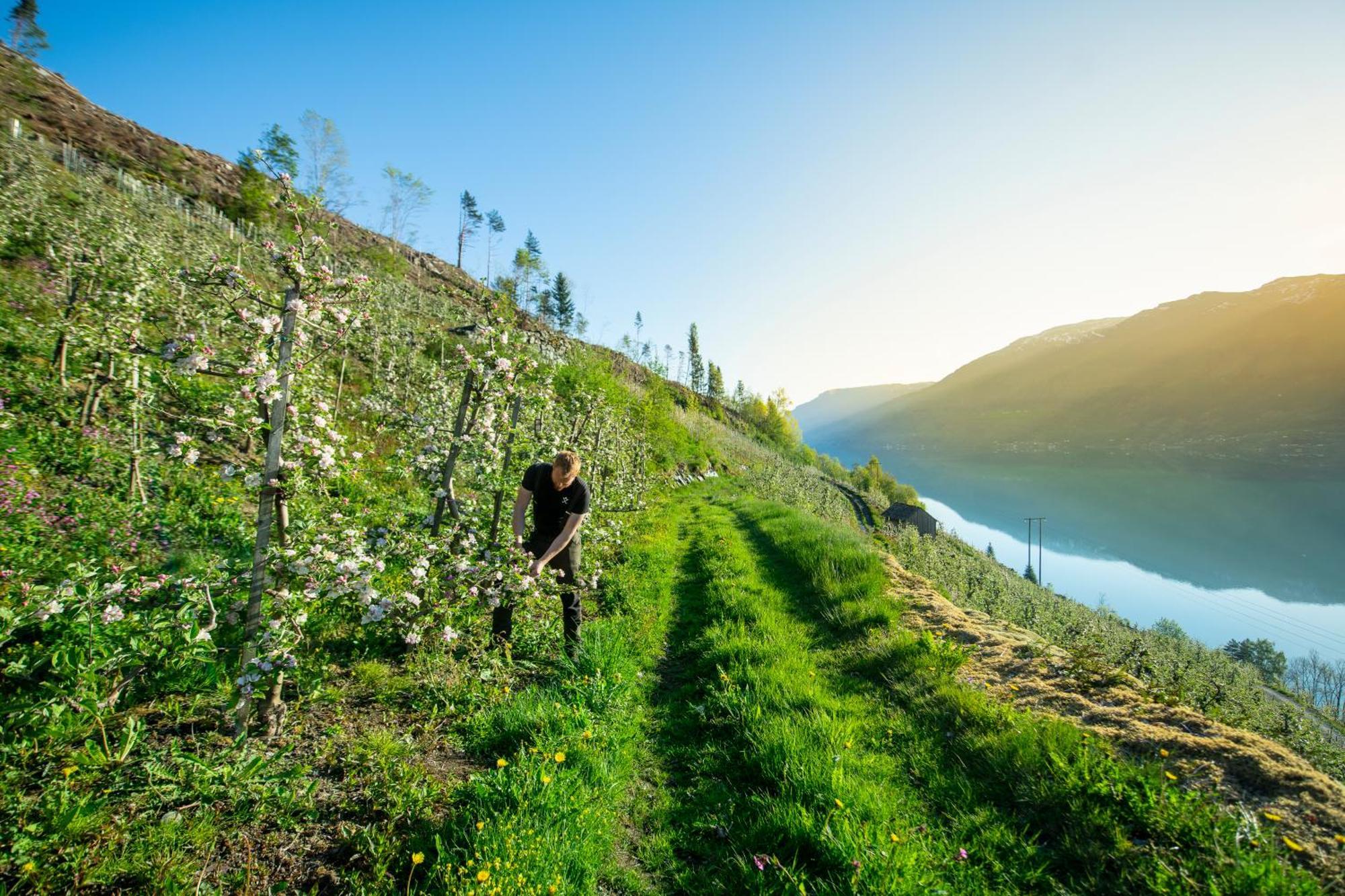 Odda Atmosphere Екстер'єр фото